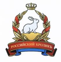 КРОЛИК РОССИЙСКИЙ КРОЛИКЪКРОЛИКЪ