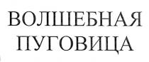 ВОЛШЕБНАЯ ПУГОВИЦАПУГОВИЦА