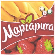 АСЕ МАРГАРИТА ACE
