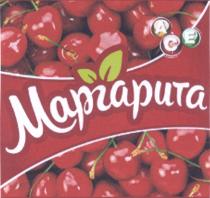АСЕ МАРГАРИТА ACE