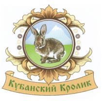 КУБАНСКИЙ КРОЛИККРОЛИК