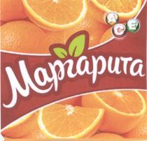 АСЕ МАРГАРИТА ACE