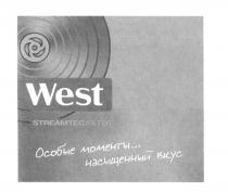 STREAMTEC WEST STREAMTEC FILTER ОСОБЫЕ МОМЕНТЫ НАСЫЩЕННЫЙ ВКУСВКУС