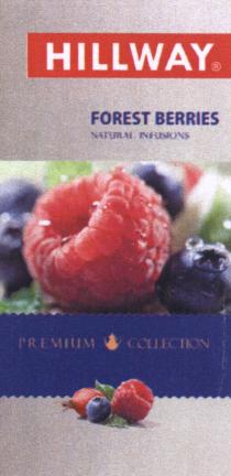 HILLWAY HILLWAY FOREST BERRIES NATURAL INFUSIONS PREMIUM COLLECTIONCOLLECTION