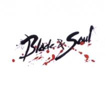 BLADE&SOUL BLADE & SOULSOUL