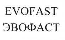 EVO ЭВО EVOFAST ЭВОФАСТЭВОФАСТ