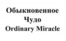 ОБЫКНОВЕННОЕ ЧУДО ORDINARY MIRACLE