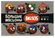 МЯСЬОНЫ BIG SOS БОЛЬШИЕ МЯСЬОНЫ BIGSOS СИЛА СПАСЕНИЯСПАСЕНИЯ