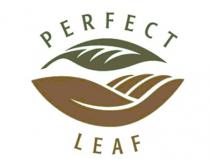 PERFECT LEAFLEAF