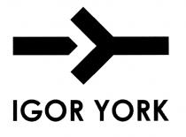 IGOR YORK IGORYORK IY IGOR YORK