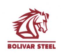 BOLIVAR BOLIVAR STEELSTEEL