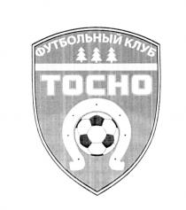 ТОСНО TOCHO ТОСНО ФУТБОЛЬНЫЙ КЛУБКЛУБ