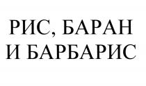 БАРБАРИС РИС БАРАН И БАРБАРИС