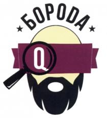 БОРОДА БОРОDА QQ