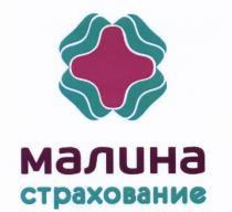 МАЛИНА СТРАХОВАНИЕ
