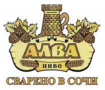 АЛВА АЛВА ПИВО СВАРЕНО В СОЧИСОЧИ