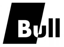 BULLBULL