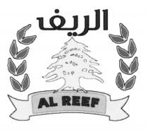 ALREEF REEF ALREEF AL REEF