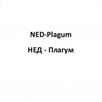 НЕДПЛАГУМ НЕД ПЛАГУМ NEDPLAGUM NED PLAGUM NED PLAGUM НЕД ПЛАГУМ NED-PLAGUM НЕД-ПЛАГУМНЕД-ПЛАГУМ