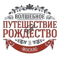 ВОЛШЕБНОЕ ПУТЕШЕСТВИЕ В РОЖДЕСТВО В МОСКВЕМОСКВЕ