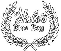 HALE HALES BLUEBOY HALES HALE HALES BLUE BOYHALE'S BOY