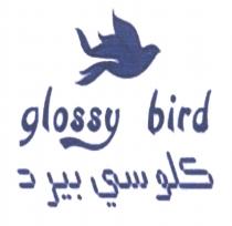 GLOSSY BIRDBIRD