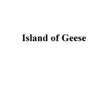 GOOSE ISLAND OF GEESEGEESE