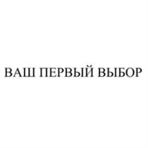 ВАШ ПЕРВЫЙ ВЫБОРВЫБОР