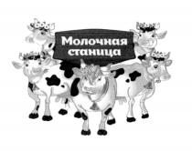 МОЛОЧНАЯ СТАНИЦАСТАНИЦА