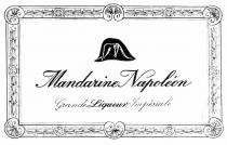 MANDARINE NAPOLEON LIQUEUR GRANDE IMPERIALE