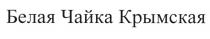 БЕЛАЯ ЧАЙКА КРЫМСКАЯКРЫМСКАЯ