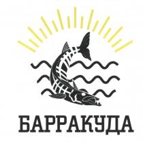 БАРРАКУДАБАРРАКУДА