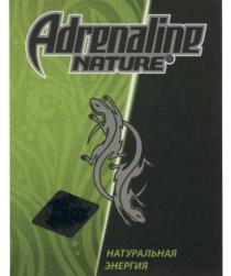 ADRENALINE NATURE НАТУРАЛЬНАЯ ЭНЕРГИЯЭНЕРГИЯ