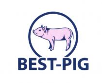 BESTPIG BEST PIG BEST-PIGBEST-PIG