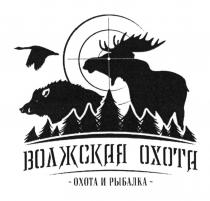 ВОЛЖСКАЯ ОХОТА ОХОТА И РЫБАЛКАРЫБАЛКА