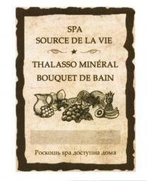 SPA SOURCE DE LA VIE THALASSO MINERAL BOUQUET DE BAIN РОСКОШЬ SPA ДОСТУПНА ДОМАДОМА