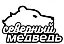 СЕВЕРНЫЙ МЕДВЕДЬМЕДВЕДЬ