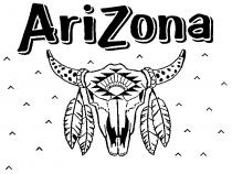 ARIZONA ARI ZONA