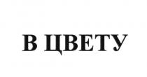 В ЦВЕТУ ЦВЕТ ЦВЕТЫЦВЕТЫ