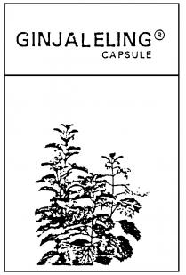 GINJALELING CAPSULE