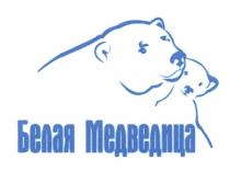 БЕЛАЯ МЕДВЕДИЦА