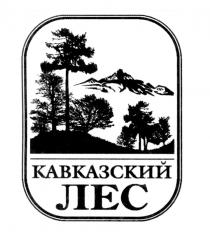 КАВКАЗСКИЙ ЛЕСЛЕС