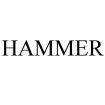 HAMMERHAMMER