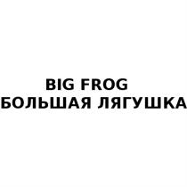 BIG FROG БОЛЬШАЯ ЛЯГУШКА BIGFROGBIGFROG