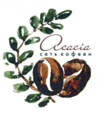 ACACIA СЕТЬ КОФЕЕН ACACIA