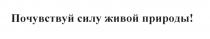 ПОЧУВСТВУЙ СИЛУ ЖИВОЙ ПРИРОДЫПРИРОДЫ