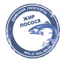 ДИКИЙ ЛОСОСЬ ЖИР ЛОСОСЯ WILD SALMONSALMON