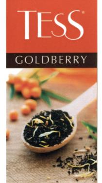 TESS GOLDBERRYGOLDBERRY