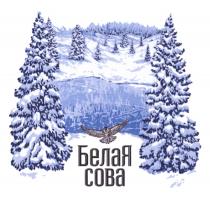 БЕЛАЯ СОВАСОВА