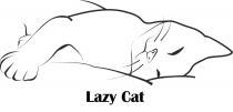 LAZY CAT LAZYCAT LAZY LAZYCAT